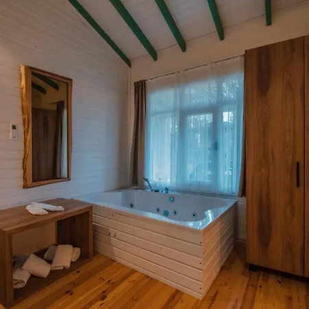 Otel Dedeman Village Sapanca