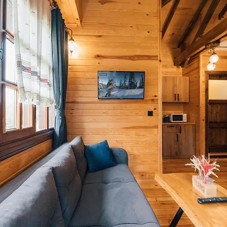 Dedeman Village Sapanca Hotel *