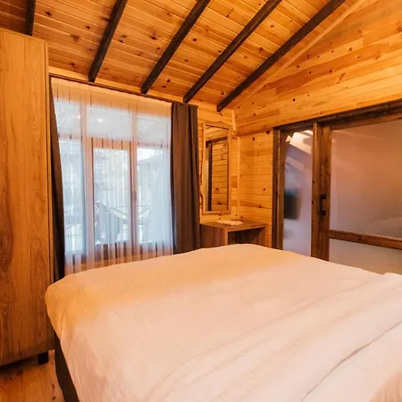 Otel Dedeman Village Sapanca *
