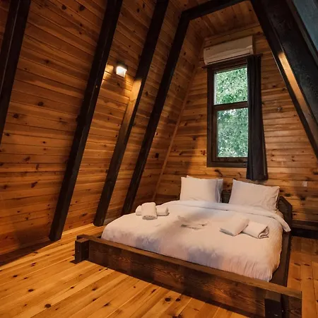 Hotel Dedeman Village Sapanca Sakarya (Marmara)