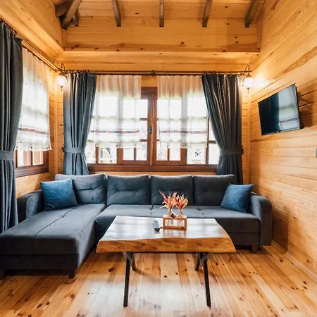 Dedeman Village Sapanca فندق ساكاريا